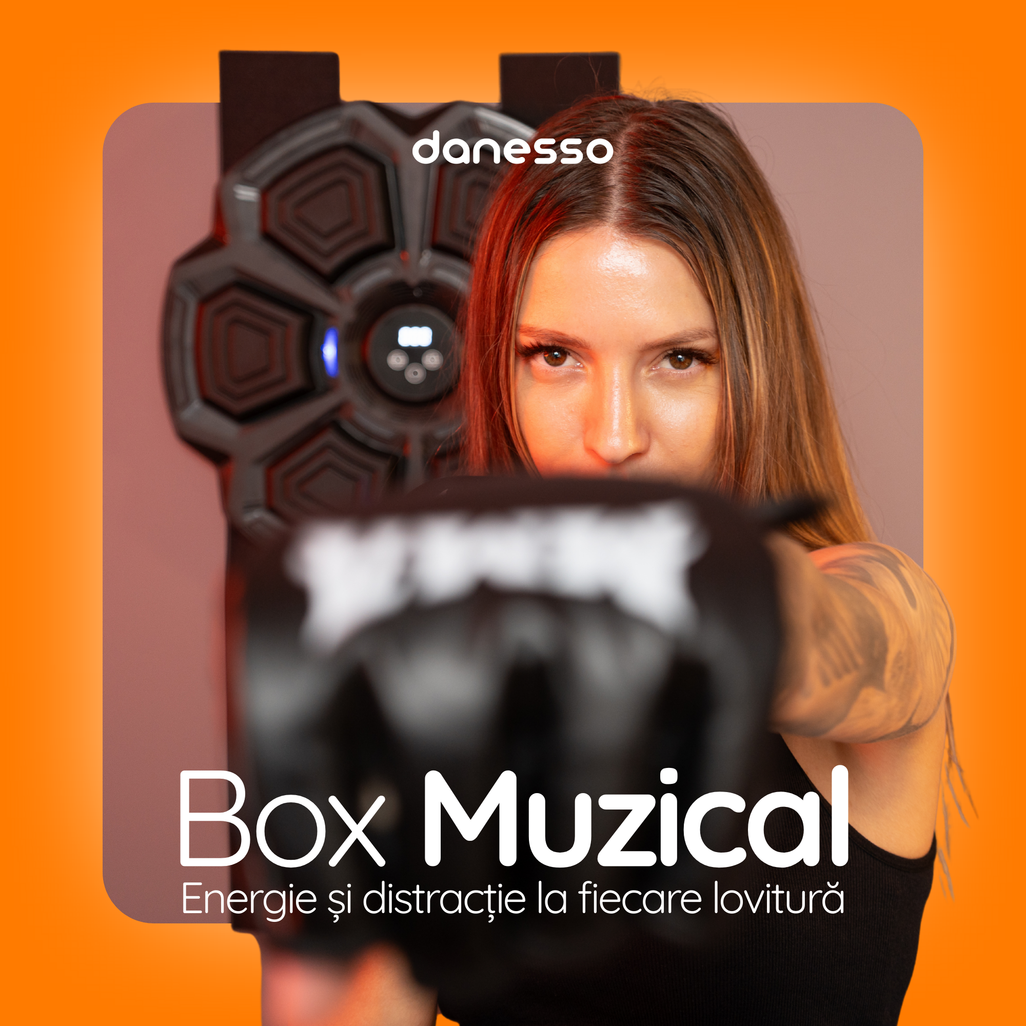 Țintă lovituri box Danesso